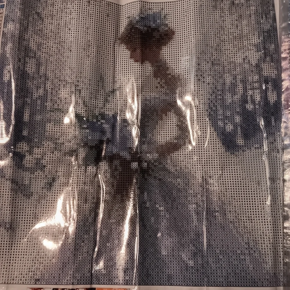 Elegant Bride Diamond Art Paint Kit 40x40